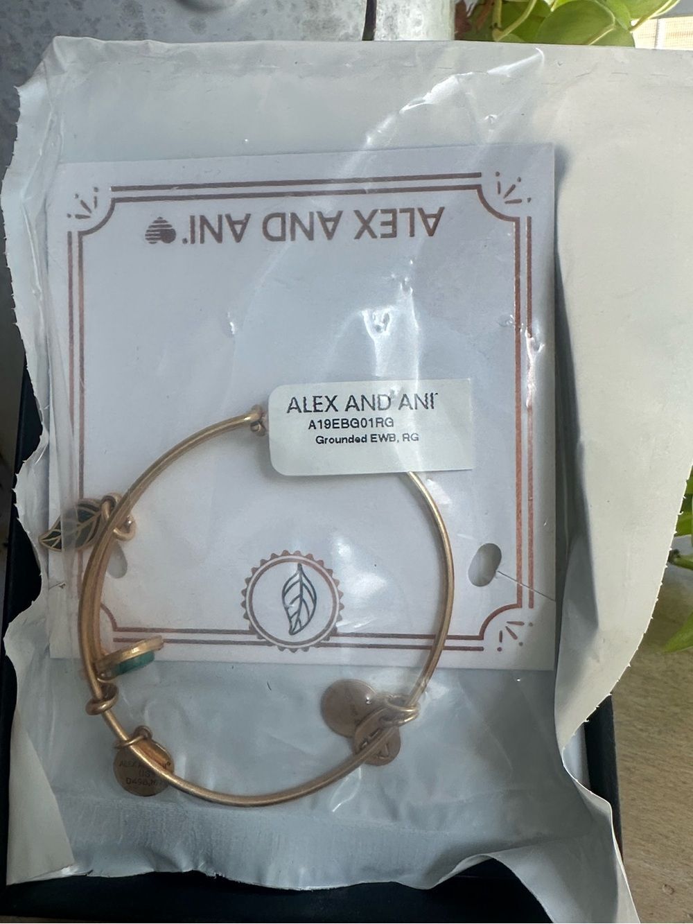 Alex & Ani Grounded Bracelet (New)